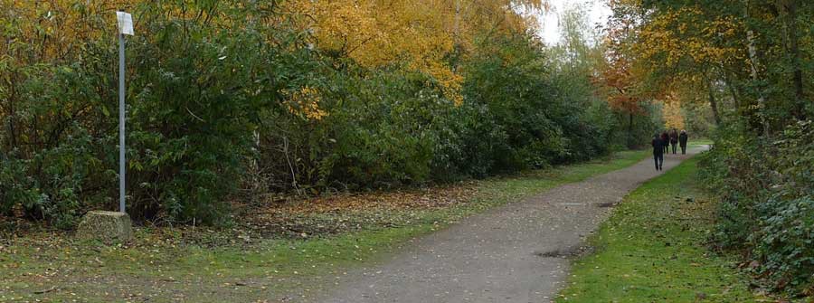 Van Eupen Forest